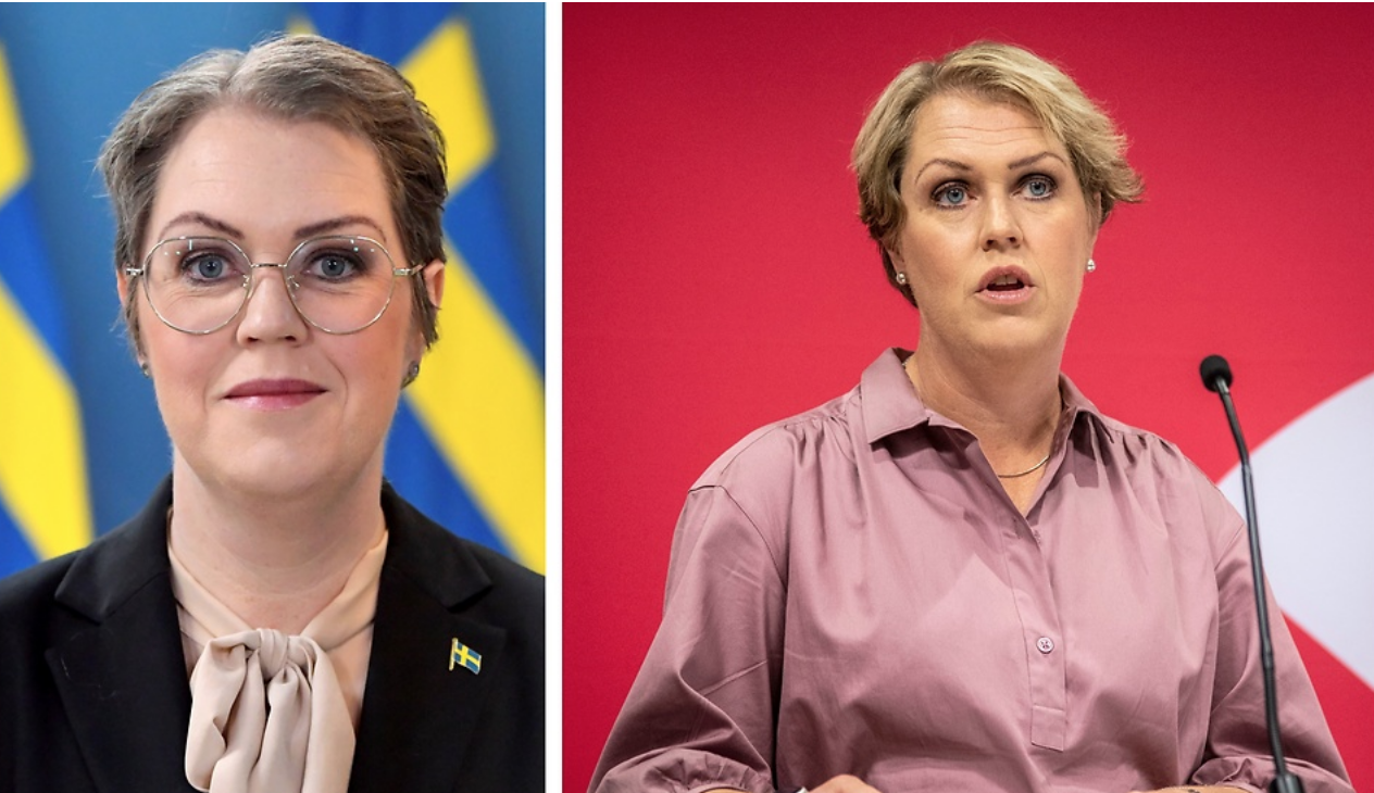 Socialminister Lena Hallengren har entledigats på egen begäran.